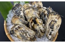 D-54008 【北海道根室産】貝付き牡蠣80個