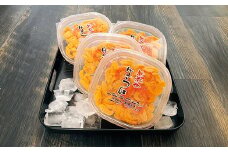 D-91002 無添加エゾバフンウニ塩水パック約100g×4P