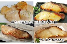 B-18006 ほたて貝柱とまだら切り身4種