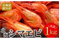 A-56014 【北海道根室産】北海シマエビ1kg(160～180尾)