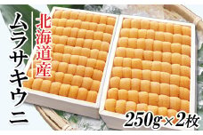 D-53013 ムラサキウニ250g×2折[7月上旬以降発送]