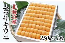 C-53006 ムラサキウニ250g×1折[7月上旬以降発送]