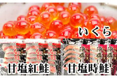 E-30002 甘塩紅鮭5切×10P、甘塩時鮭5切×10P、いくら醤油漬け100g×5Pセット