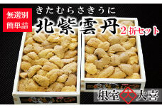 D-73009 お刺身用キタムラサキウニ簡単詰め250g×2折[7月中旬以降発送]