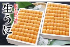 D-71046 エゾバフンウニ並べ詰め150g×2折[11月上旬以降発送]