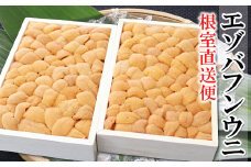 B-53006 エゾバフンウニバラ詰め150g×2折[5月中旬以降発送]
