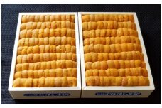 D-53037 エゾバフンウニ弁当並べ詰め150g×2折[11月中旬以降順次発送]