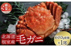 B-21006 【北海道根室産】毛がに600g前後×1尾