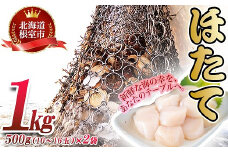 B-45003 ＼漁業者応援品／ほたて貝柱500g×2P(計1.0kg)