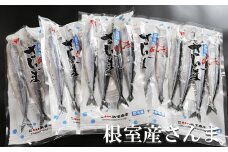 B-32021 【北海道根室産】冷凍生さんま40尾(4尾×10P)