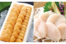 D-53029 エゾバフンウニ140g×1折、お刺身ホタテ貝柱500g×1P[11月下旬以降順次発送]