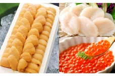 E-53002 エゾバフンウニ140g×1折、いくら醤油漬け150g×1P、お刺身ホタテ貝柱500g×1P[11月上旬以降順次発送]