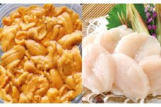 D-53028 エゾバフンウニ塩水パック150g×1P、お刺身ホタテ貝柱500g×1P[11月下旬以降順次発送]