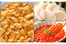 E-53003 エゾバフンウニ塩水パック150g×1P、いくら醤油漬け150g×1P、お刺身ホタテ貝柱500g×1P[11月上旬以降順次発送]