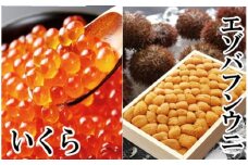 E-40022 エゾバフンウニバラ詰め150g×1折、いくら醤油漬け150g×1P[11月下旬以降発送]