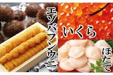 E-40003 エゾバフンウニ140g×1折、いくら醤油漬け150g×1P、お刺身ホタテ貝柱500g×1P[2026年1月中旬以降発送]
