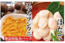 E-40018 エゾバフンウニ塩水パック150g×1P、お刺身ホタテ貝柱500g×1P[11月下旬以降発送]