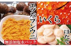 E-40004 エゾバフンウニ塩水パック150g×1P、いくら醤油漬け150g×1P、お刺身ホタテ貝柱500g×1P[2026年1月中旬以降発送]