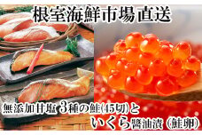 B-11043  無添加天然甘塩鮭3種各15切、いくら醤油漬け(鮭卵)70g×1P