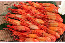 A-81011 【北海道根室産】北海シマエビ400g(19～24尾)