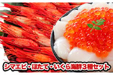 B-81004 シマエビ500g・ほたて300g・いくら200gセット