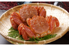 F-05006 【北海道根室産】浜ゆで毛がに300～400g×2尾