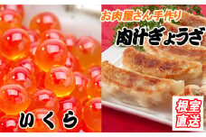 A-36042 餃子25個×1P、いくら醤油漬け100g×1P