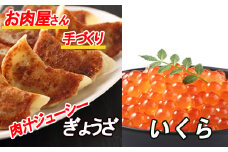 B-30029 餃子25個×2P、いくら醤油漬け100g×2P