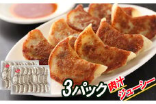 B-30041 餃子25個×3P