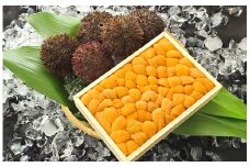 C-71024 エゾバフンウニバラ詰め150g×1折