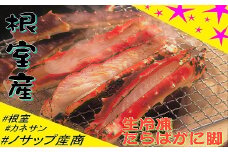 D-59029 【北海道根室産】生冷凍たらばがに脚(カット済み)1.6kg