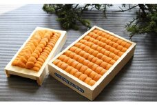 D-71037 エゾバフンウニ140g×1折、エゾバフンウニ並べ詰め150g×1折[2026年1月中旬以降発送]
