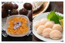 D-71039 エゾバフンウニ塩水パック150g×1P、お刺身ホタテ貝柱500g×1P[2026年1月中旬以降発送]