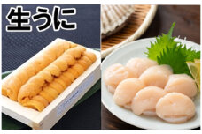 D-71040 エゾバフンウニ140g×1折、お刺身ホタテ貝柱500g×1P[2026年1月中旬以降発送]