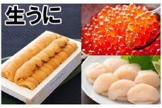 E-71015 エゾバフンウニ140g×1折、いくら醤油漬け150g×1P、お刺身ホタテ貝柱500g×1P[11月下旬以降発送]
