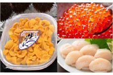 E-71016 エゾバフンウニ塩水パック150g×1P、いくら醤油漬け150g×1P、お刺身ホタテ貝柱500g×1P[11月下旬以降発送]