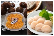 E-71017 エゾバフンウニ塩水100g×2P、お刺身ホタテ貝柱500g×2P[11月下旬以降発送]