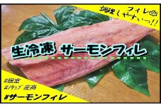 B-59016 【北海道根室産】サーモンフィレ2枚(計1.5kg以上)