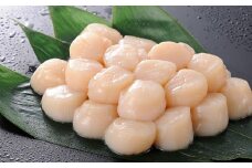 A-58013 ＼漁業者応援品／生食可ほたて貝柱1kg(51～80玉前後)