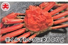 A-01046 ボイルずわいがに姿600g×1尾