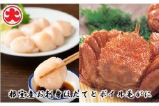 B-01057 【北海道根室産】お刺身ほたて500g×1P、ボイル毛がに400g×1尾 ふるさと納税 根室 ほたて ホタテ 帆立 海鮮