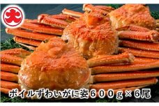 D-01053 ボイルずわいがに姿600g×6尾