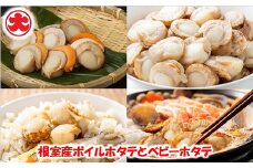 B-01060 ＼漁業者応援品／【北海道根室産】ボイルホタテ800g×2P、ボイルベビーホタテ1kg×1P