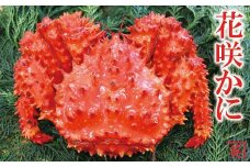 B-27019 【北海道根室産】花咲蟹1kg～1.3kg×1尾
