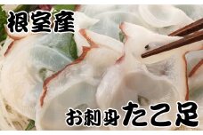 A-30050 【北海道根室産】たこ足800g前後～1.4kg前後×1本