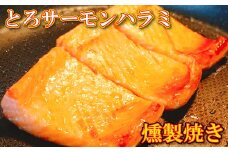 B-09069 とろサーモンハラミ燻製焼き3kg