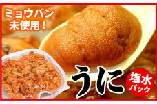 B-07018 エゾバフンウニ(赤色)塩水パック100g×1P