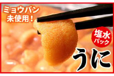 B-07019 エゾバフンウニ(黄色)塩水パック70g×1P