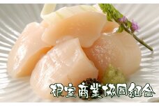 B-18015 ＼漁業者応援品／ほたて貝柱300g×3P