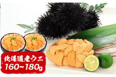 A-81012   ムラサキウニ塩水パック80～90g×2P